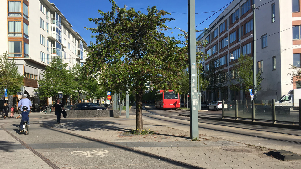A city street with a tree and a red bus (seen from behind) in the middle of the picture. To the left, you see a cycling adult and a cycling child from behind.